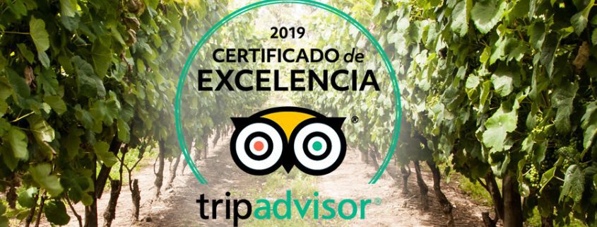 ¡Obtuvimos el Certificado de Excelencia 2019 de TripAdvisor!
